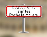 Diagnostic Termite AC Environnement  à Roche la Molière